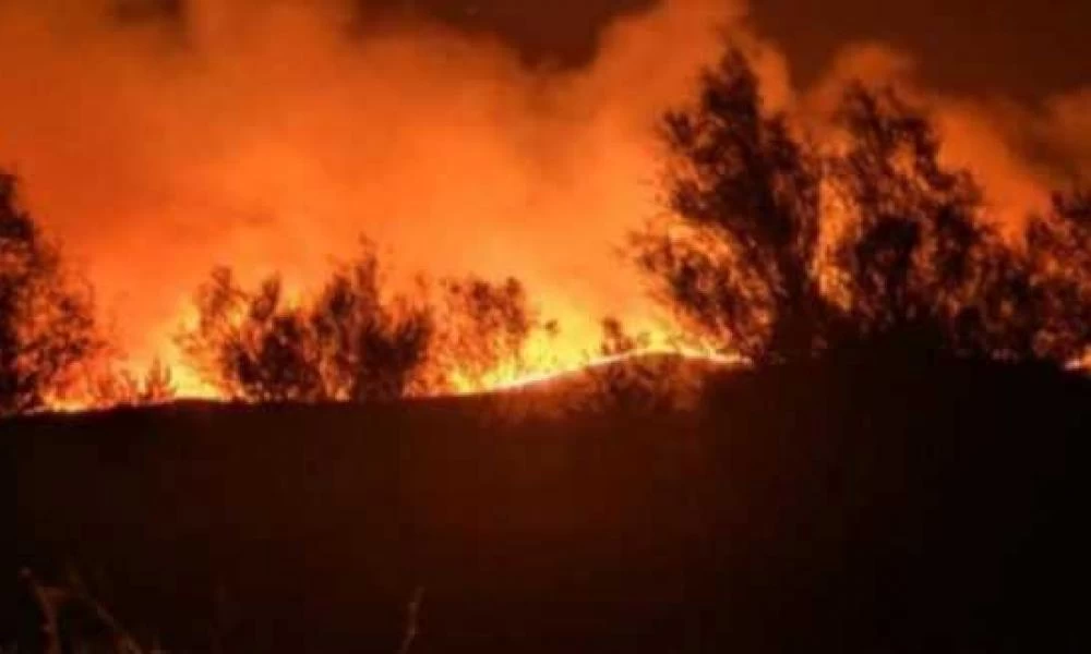 Μαίνεται η πυρκαγιά στον Έβρο – Απειλείται το δάσος της Δαδιάς